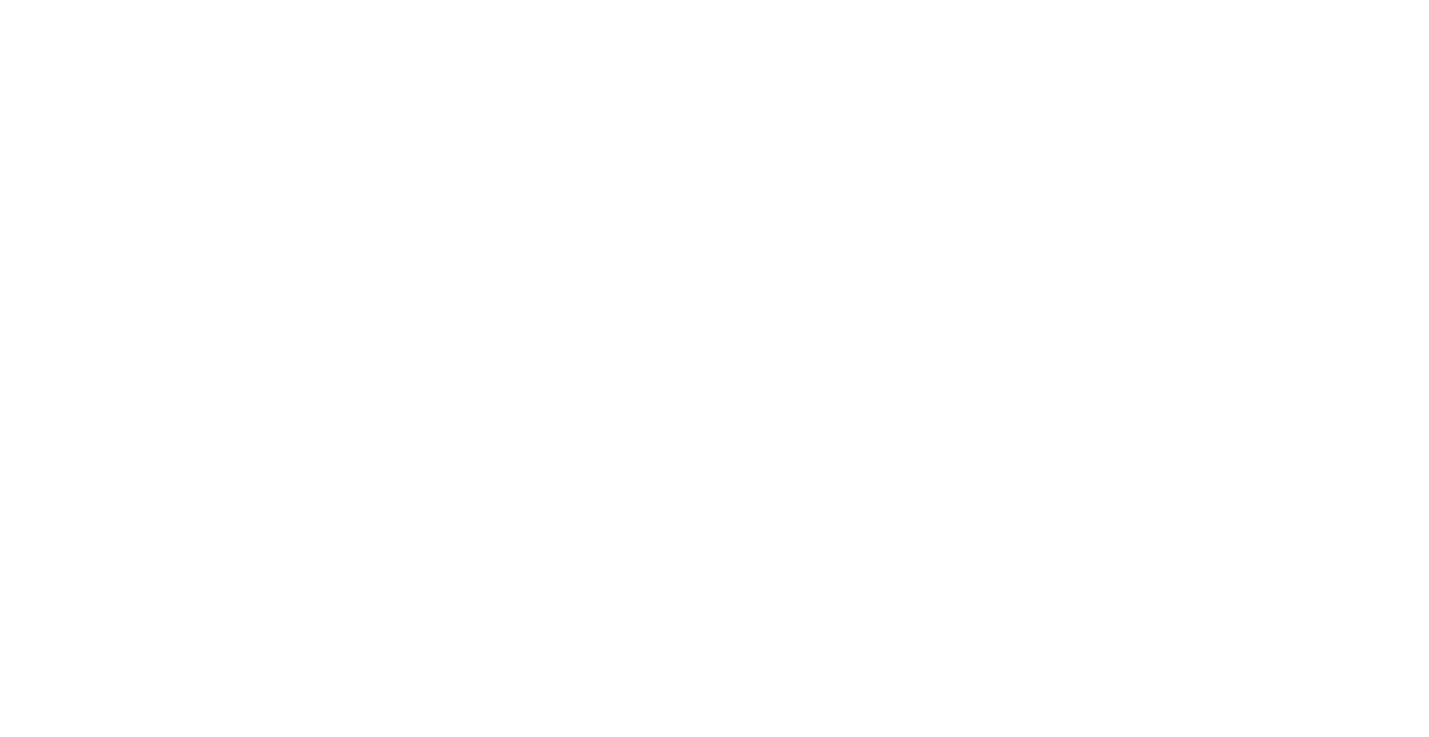 Leveraged CEO
